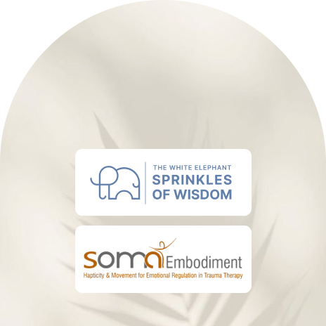 SOMA Embodiment